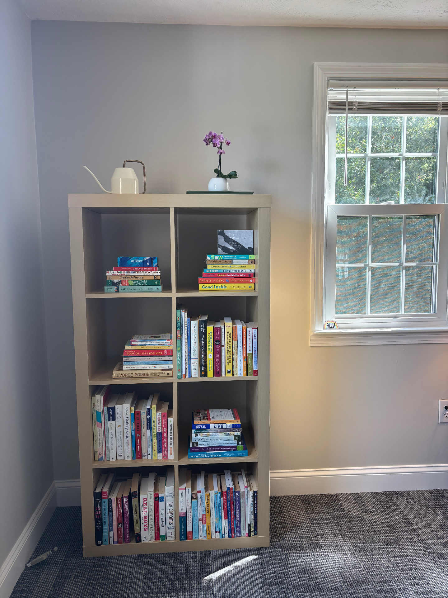 Bookshelf filled with counseling and parenting books
